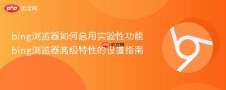 bing浏览器如何启用实验性功能 bing浏览器高级特性的设置指南