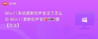 Win11系统更新后声音没了怎么办 Win11更新后声音恢复步骤【方法】