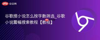 谷歌搜小说怎么按字数筛选_谷歌小说篇幅搜索教程【教程】