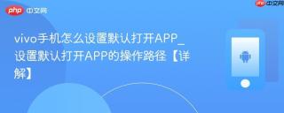 vivo手机怎么设置默认打开APP_设置默认打开APP的操作路径【详解】