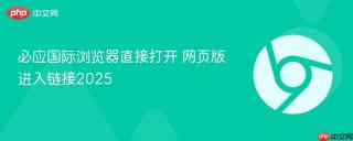必应国际浏览器直接打开 网页版进入链接2025