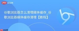 谷歌浏览器怎么清理媒体缓存_谷歌浏览器媒体缓存清理【教程】