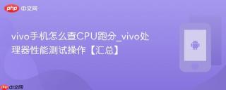 vivo手机怎么查CPU跑分_vivo处理器性能测试操作【汇总】