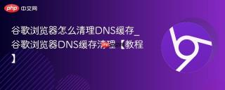 谷歌浏览器怎么清理DNS缓存_谷歌浏览器DNS缓存清理【教程】