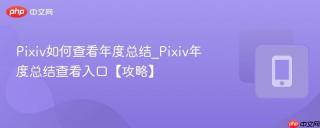 Pixiv如何查看年度总结_Pixiv年度总结查看入口【攻略】
