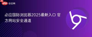 必应国际浏览器2025最新入口 官方网站安全通道