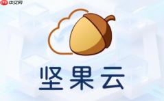 坚果云怎么设置密码？-坚果云设置密码的方法