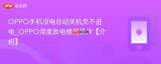 OPPO手机没电自动关机充不进电_OPPO深度放电修复操作【介绍】