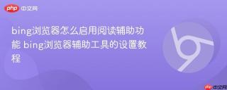 bing浏览器怎么启用阅读辅助功能 bing浏览器辅助工具的设置教程