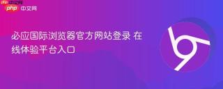 必应国际浏览器官方网站登录 在线体验平台入口