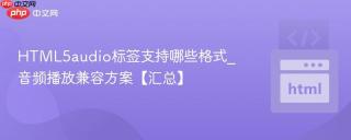 HTML5audio标签支持哪些格式_音频播放兼容方案【汇总】