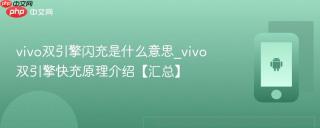 vivo双引擎闪充是什么意思_vivo双引擎快充原理介绍【汇总】