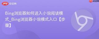 Bing浏览器如何进入小说阅读模式_Bing浏览器小说模式入口【步骤】