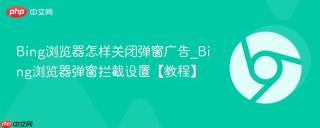 Bing浏览器怎样关闭弹窗广告_Bing浏览器弹窗拦截设置【教程】