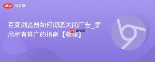 百度浏览器如何彻底关闭广告_禁用所有推广的指南【教程】