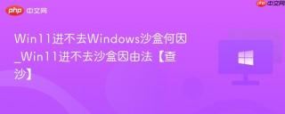 Win11进不去Windows沙盒何因_Win11进不去沙盒因由法【查沙】