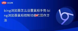 bing浏览器怎么设置鼠标手势 bing浏览器鼠标控制功能的操作方法