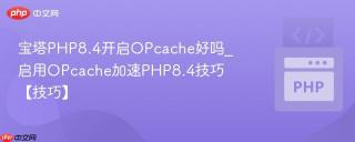 宝塔PHP8.4开启OPcache好吗_启用OPcache加速PHP8.4技巧【技巧】