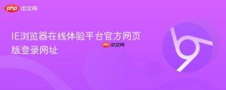 IE浏览器在线体验平台官方网页版登录网址