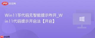 Win11写代码无智能提示咋开_Win11代码提示开启法【开启】