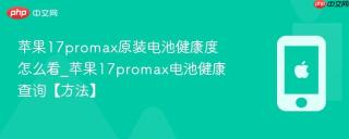 苹果17promax原装电池健康度怎么看_苹果17promax电池健康查询【方法】