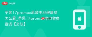 苹果17promax原装电池健康度怎么看_苹果17promax电池健康查询【方法】