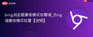 bing浏览器兼容模式在哪调_Bing调兼容模式位置【说明】
