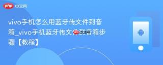 vivo手机怎么用蓝牙传文件到音箱_vivo手机蓝牙传文件到音箱步骤【教程】