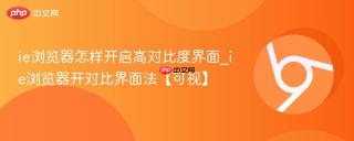 ie浏览器怎样开启高对比度界面_ie浏览器开对比界面法【可视】