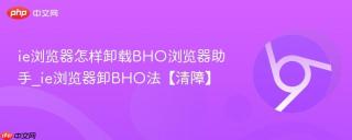 ie浏览器怎样卸载BHO浏览器助手_ie浏览器卸BHO法【清障】