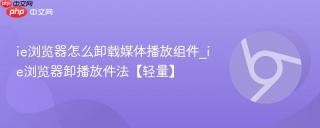 ie浏览器怎么卸载媒体播放组件_ie浏览器卸播放件法【轻量】