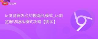 ie浏览器怎么切换隐私模式_ie浏览器切隐私模式攻略【明示】