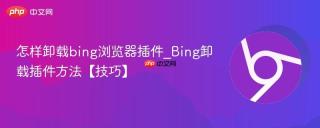 怎样卸载bing浏览器插件_Bing卸载插件方法【技巧】