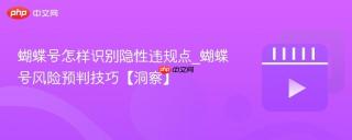 蝴蝶号怎样识别隐性违规点_蝴蝶号风险预判技巧【洞察】