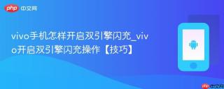vivo手机怎样开启双引擎闪充_vivo开启双引擎闪充操作【技巧】