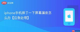 iphone手机摔了一下屏幕漏夜怎么办【应急处理】