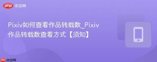 Pixiv如何查看作品转载数_Pixiv作品转载数查看方式【须知】