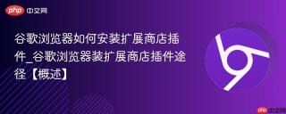 谷歌浏览器如何安装扩展商店插件_谷歌浏览器装扩展商店插件途径【概述】