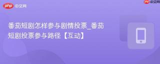 番茄短剧怎样参与剧情投票_番茄短剧投票参与路径【互动】