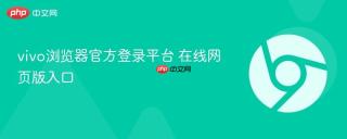 vivo浏览器官方登录平台 在线网页版入口
