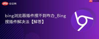bing浏览器插件搜不到咋办_Bing搜插件解决法【解答】