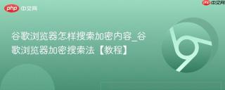 谷歌浏览器怎样搜索加密内容_谷歌浏览器加密搜索法【教程】