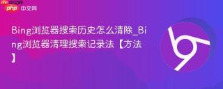 Bing浏览器搜索历史怎么清除_Bing浏览器清理搜索记录法【方法】