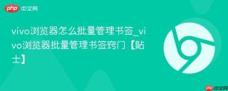 vivo浏览器怎么批量管理书签_vivo浏览器批量管理书签窍门【贴士】