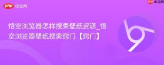 悟空浏览器怎样搜索壁纸资源_悟空浏览器壁纸搜索窍门【窍门】