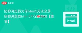 猎豹浏览器为何html5无法全屏_猎豹浏览器html5不全屏解决【修复】