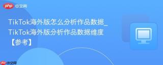 TikTok海外版怎么分析作品数据_TikTok海外版分析作品数据维度【参考】