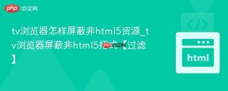 tv浏览器怎样屏蔽非html5资源_tv浏览器屏蔽非html5招式【过滤】