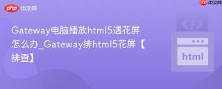 gateway电脑播放html5遇花屏怎么办_gateway排html5花屏【排查】