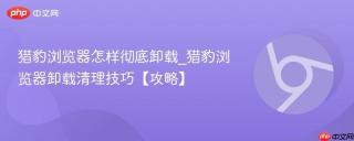 猎豹浏览器怎样彻底卸载_猎豹浏览器卸载清理技巧【攻略】